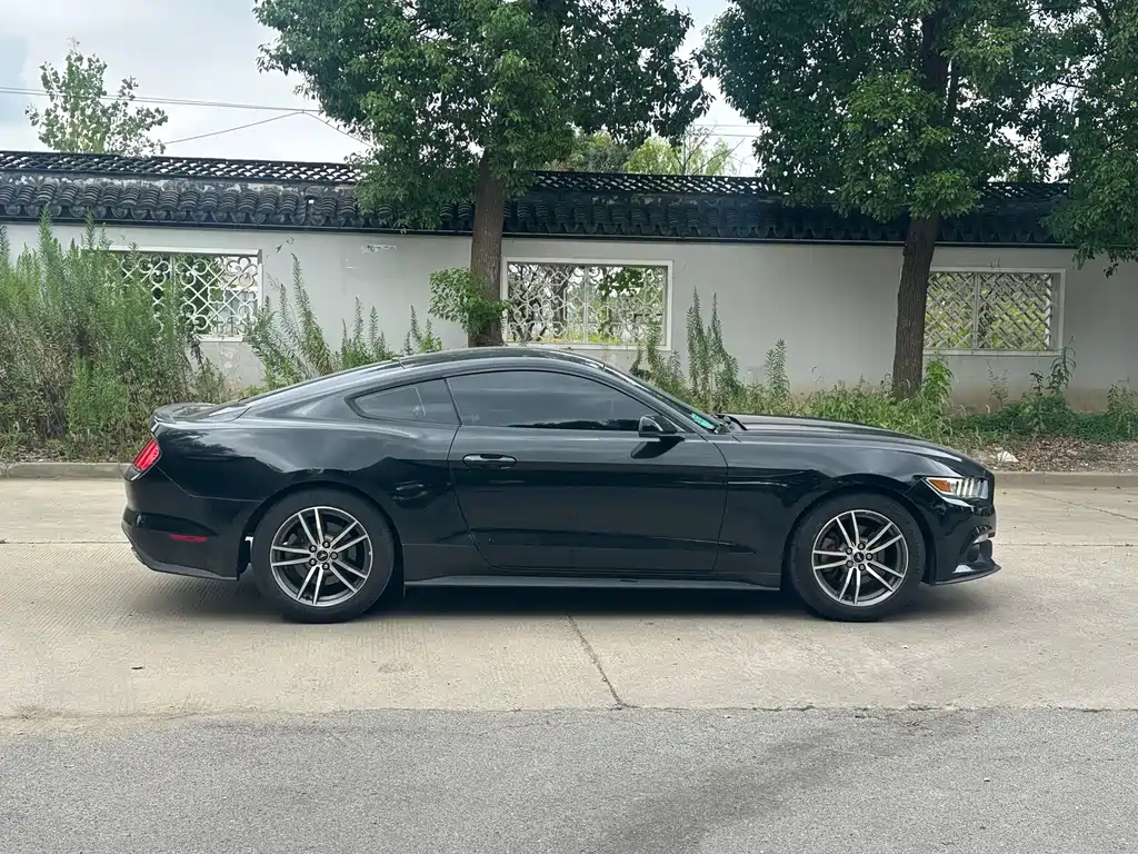 Ford Mustang — миниатюра 4