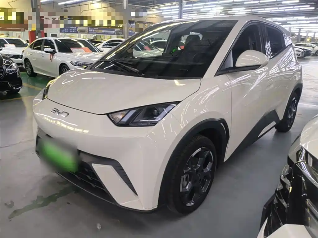Byd Seagull 2024