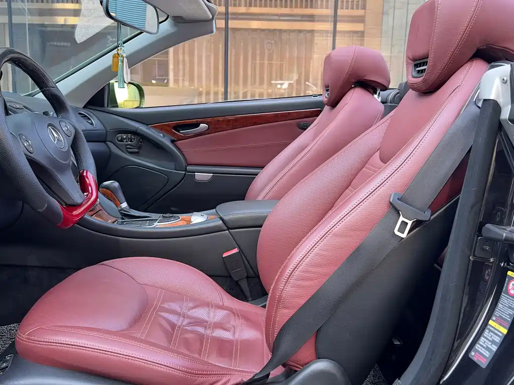 Mercedes-Benz SL 2010 SL 300