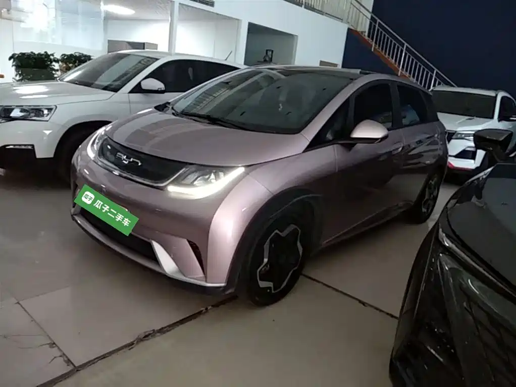 Byd Dolphin 2022
