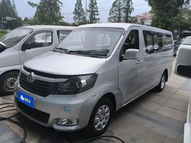 2020 Changan Ruixing
