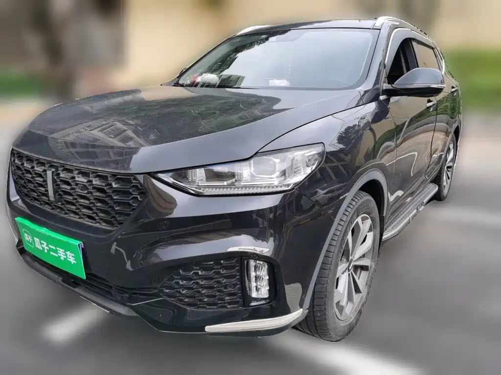 2019 Wey VV6 - zdjęcie 1 z 25
