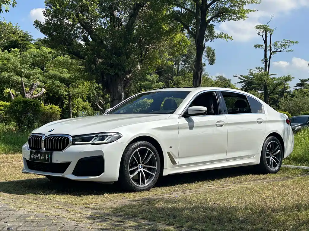 BMW 5 Series 2021