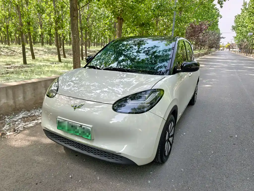 Wuling Bingo 2024