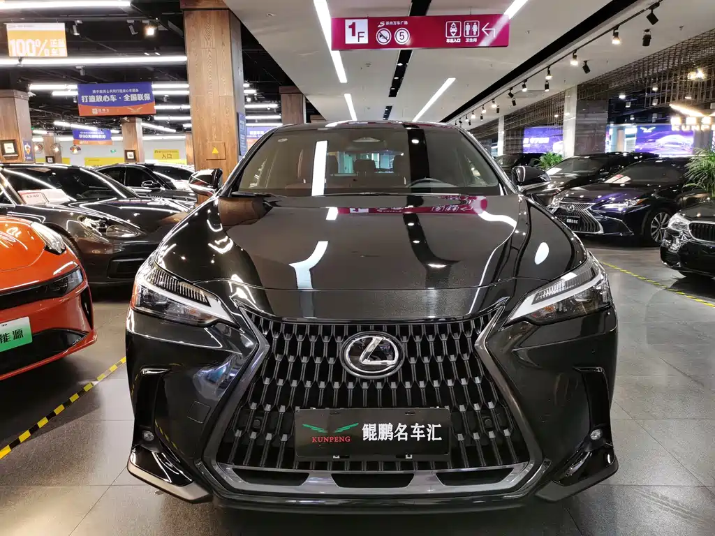 Lexus NX 2023 260