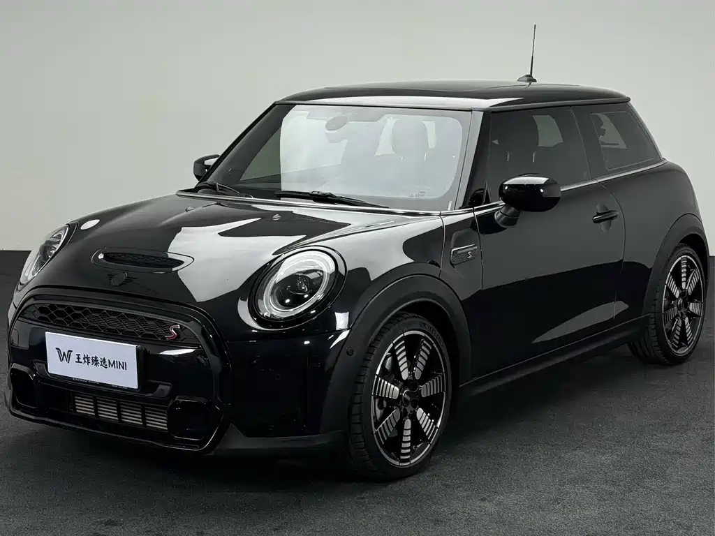 Mini Mini 2024