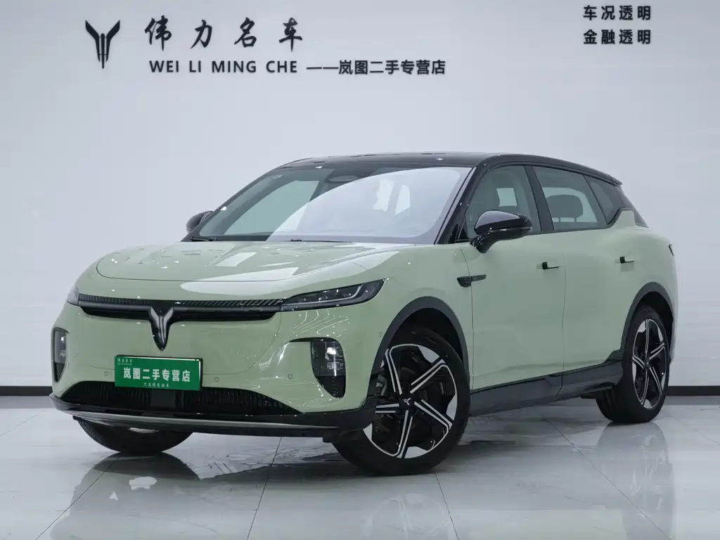 Voyah Zhiyin 2025