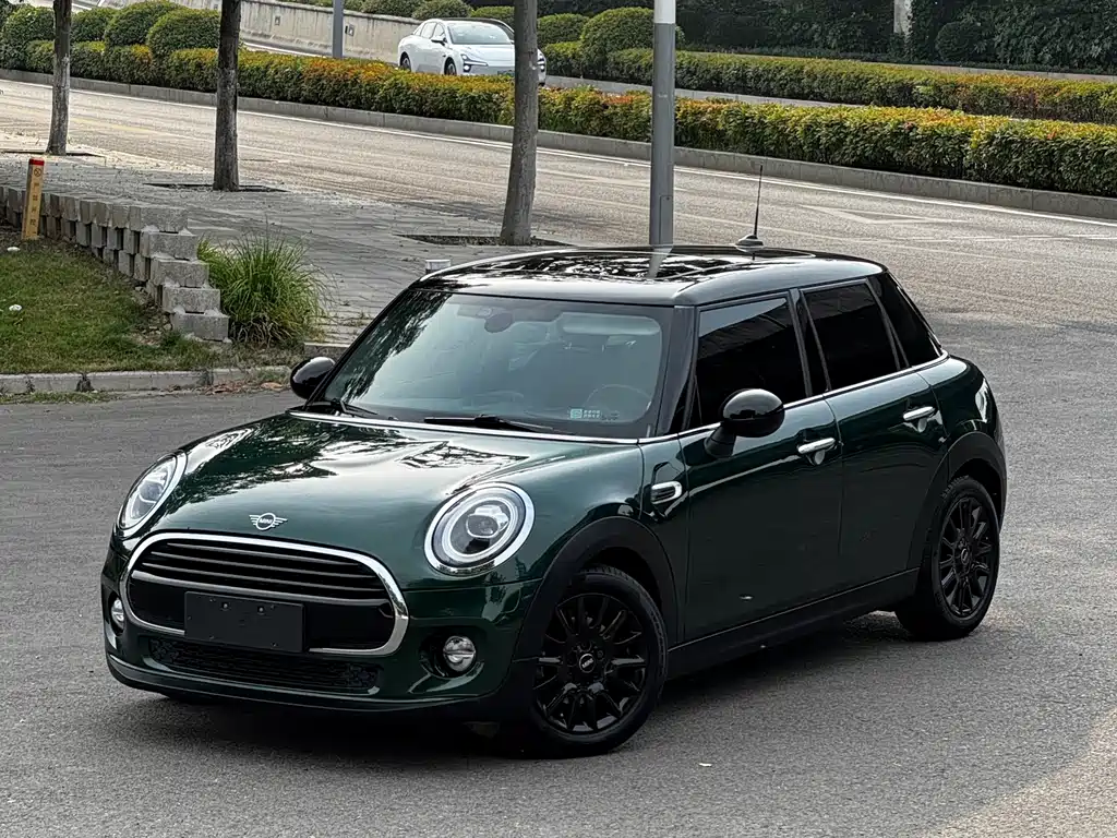 Mini Mini 2019