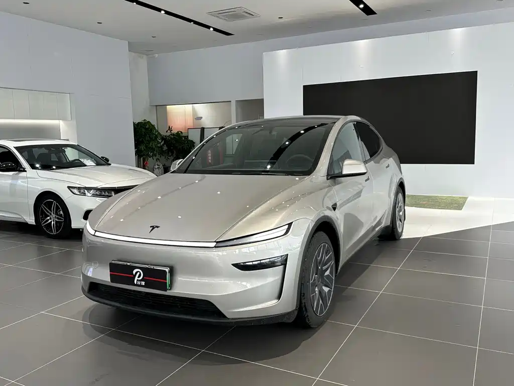 Tesla Model Y L