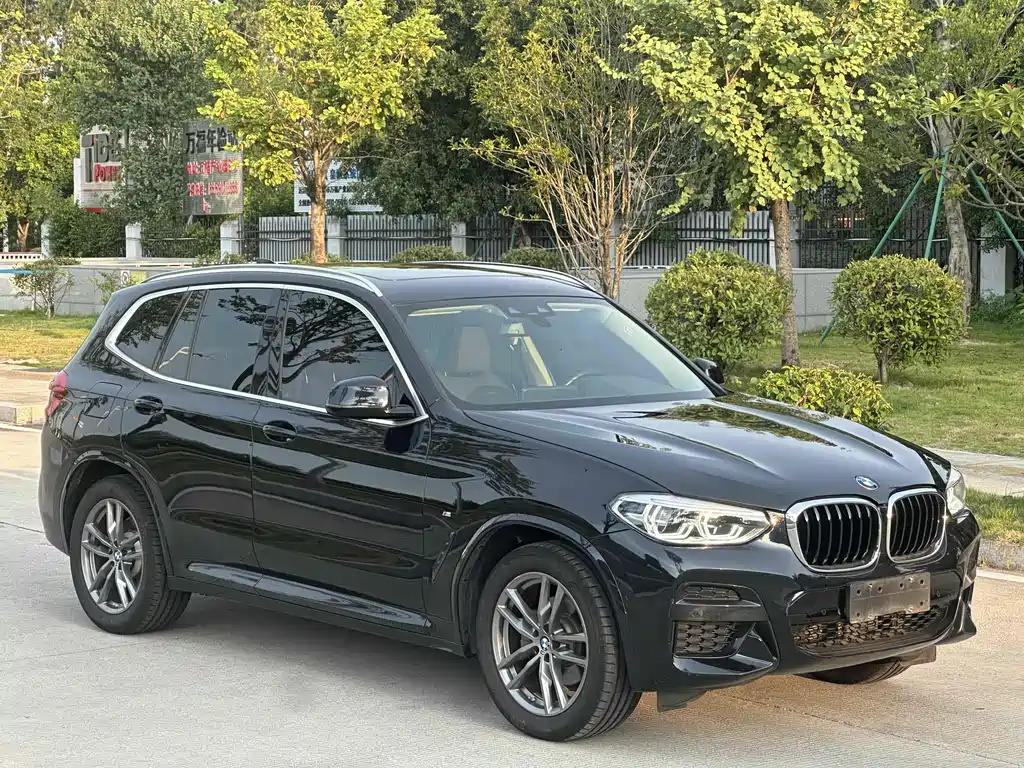 BMW X3 — миниатюра 3