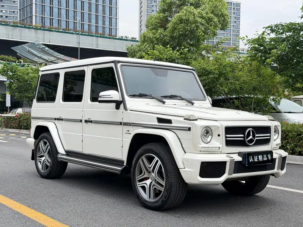 Mercedes-Benz G-Class A MG G AMG 2013 AMG G 63