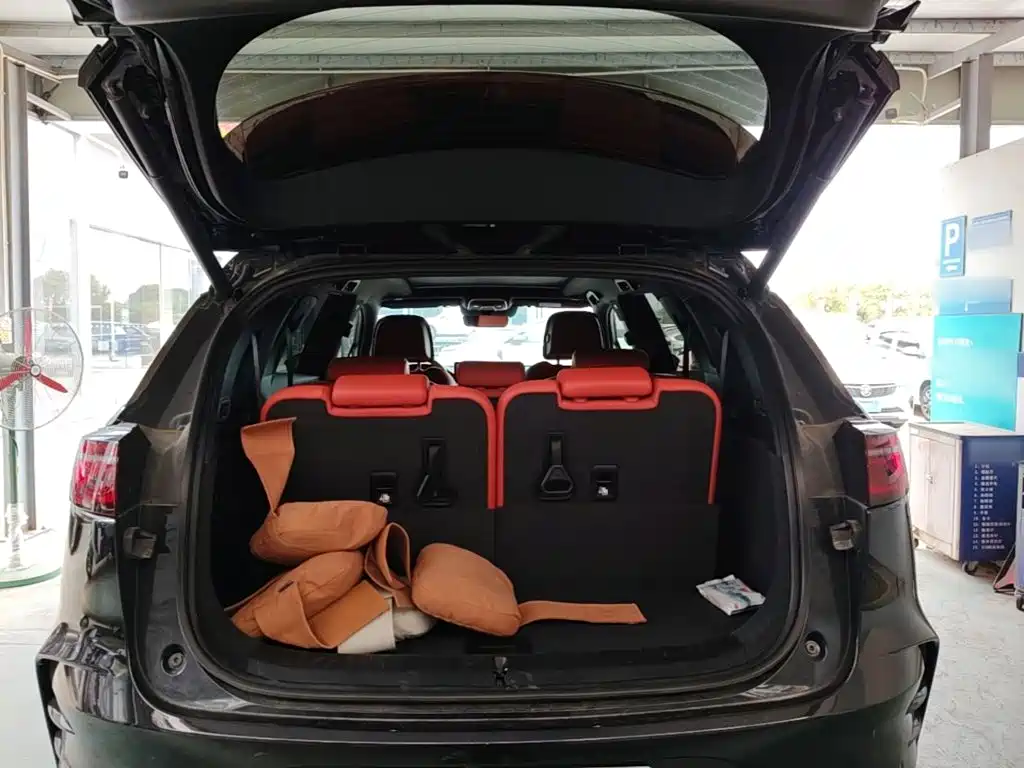 BYD Tang New Energy — миниатюра 19