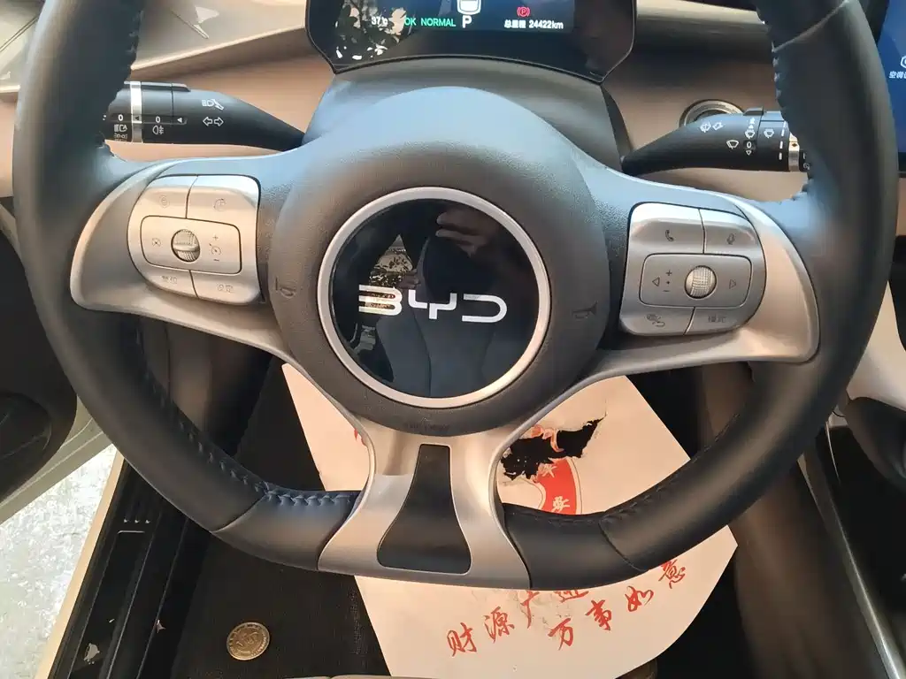 BYD Dolphin 2025 420km Fashion
