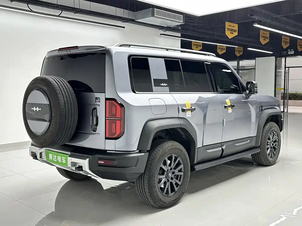 FANG CHENG BAO LEOPARD 5