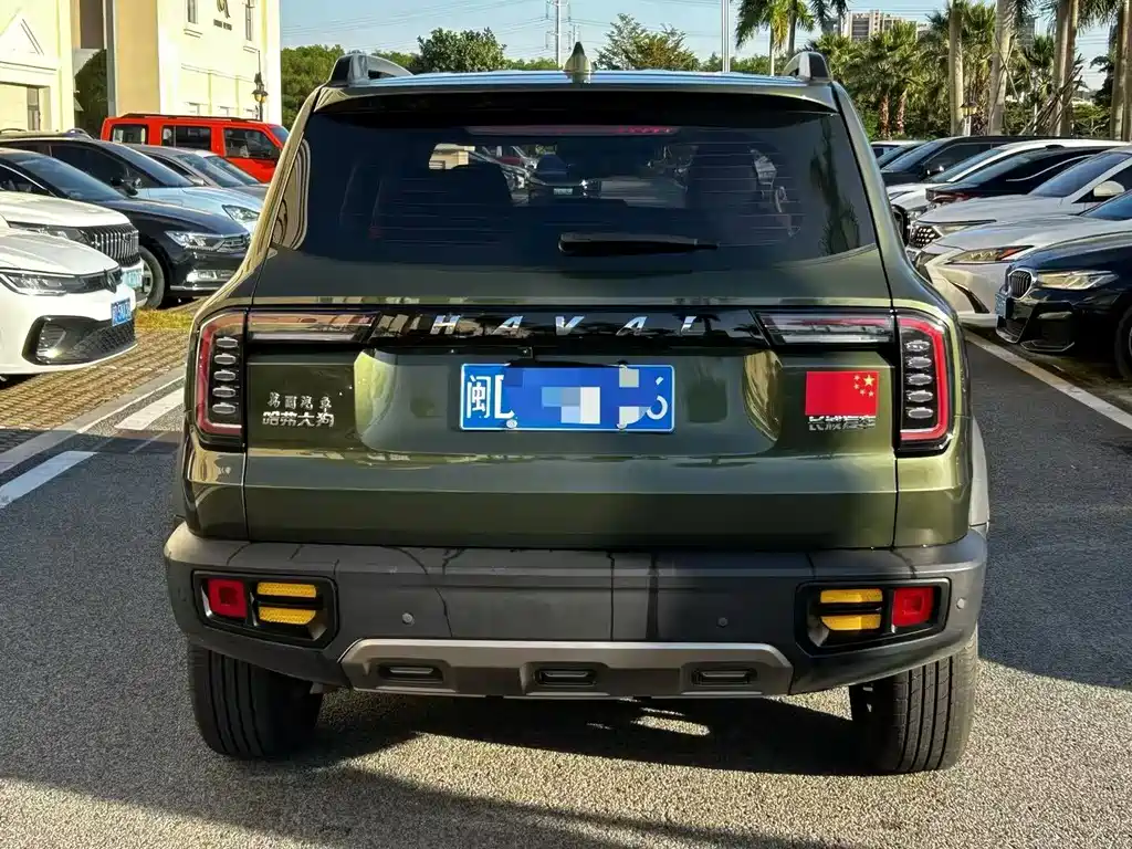 HAVAL BIG DOG