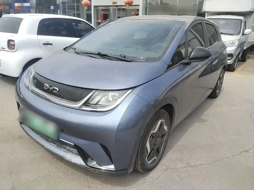 Byd Dolphin 2024