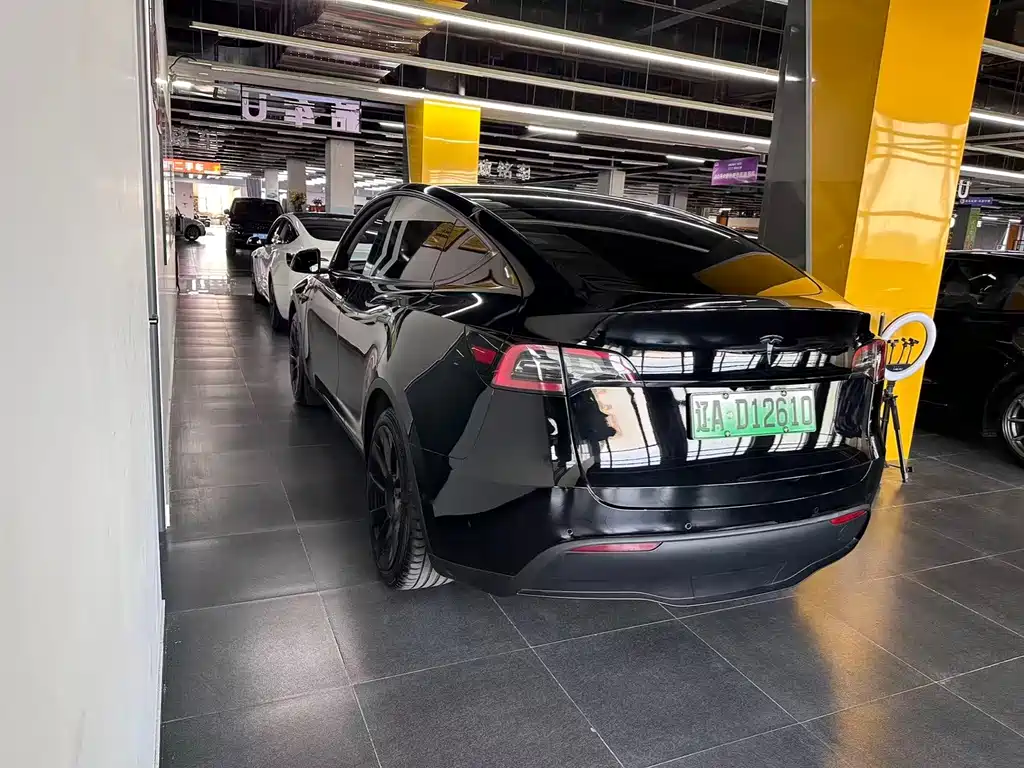 Tesla Model Y — миниатюра 7