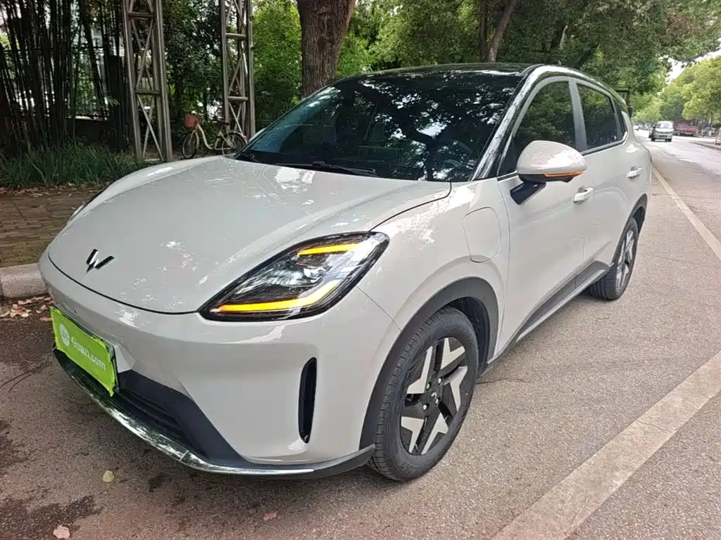 Wuling 缤果S 2025
