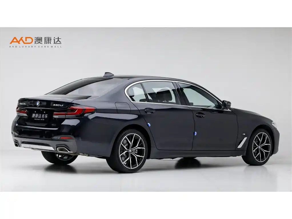 BMW 5 Series — миниатюра 3