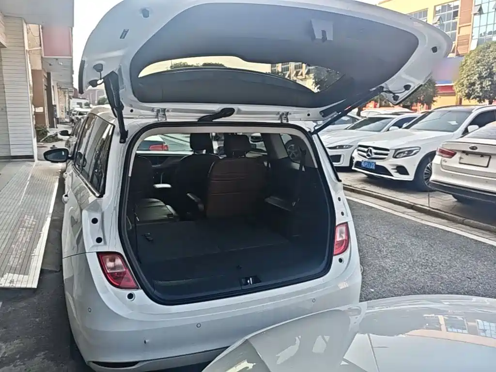 Buick GL6 — миниатюра 19
