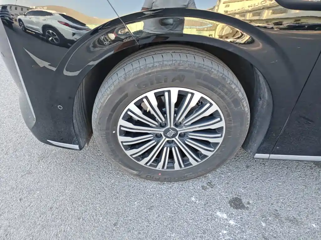 BYD Xia — миниатюра 23