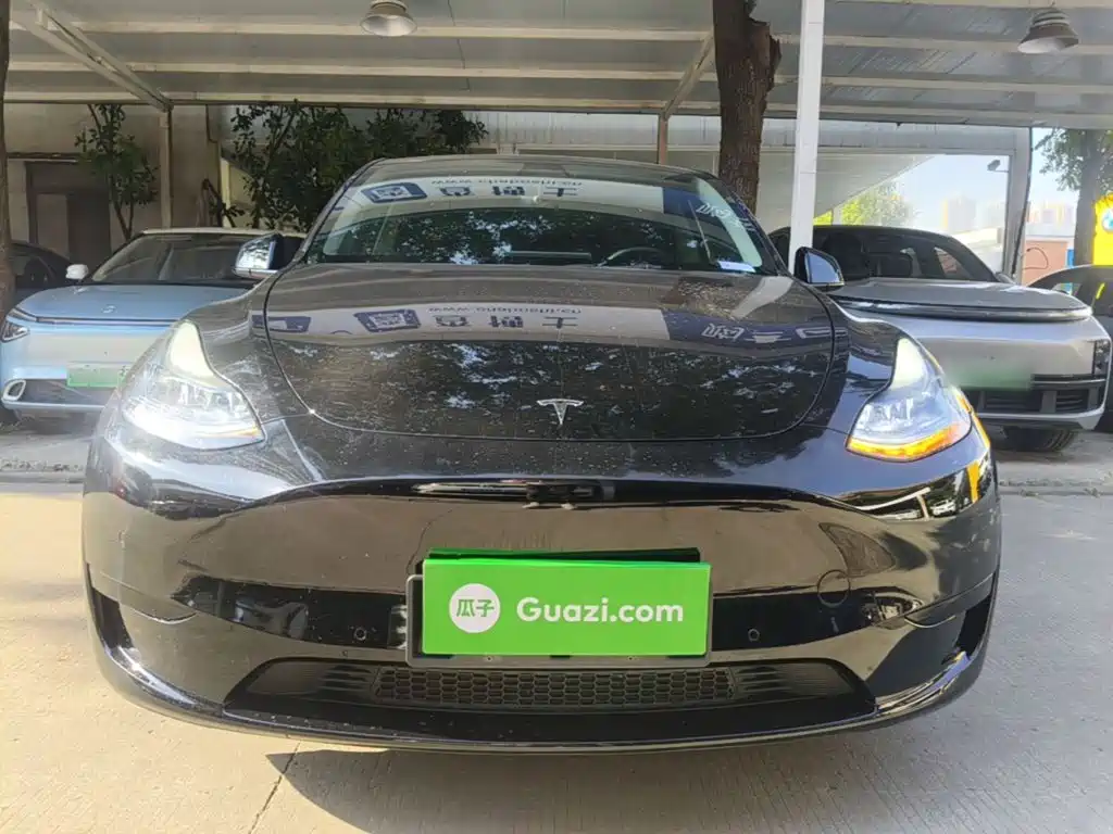 Tesla Model Y — миниатюра 3