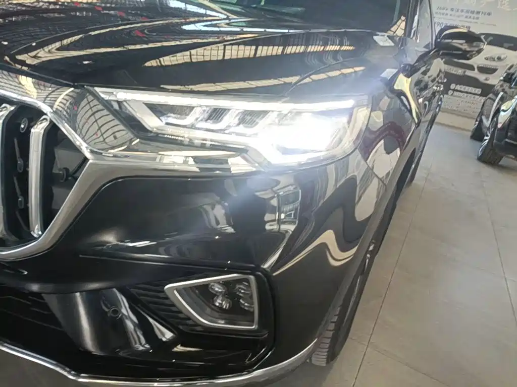Hongqi Hongqi HS5 — миниатюра 24