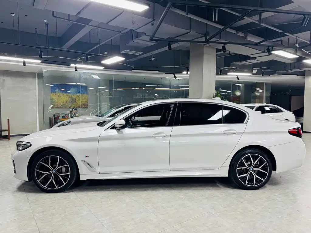 BMW 5 Series 5 2022 530Li Premium M Sport