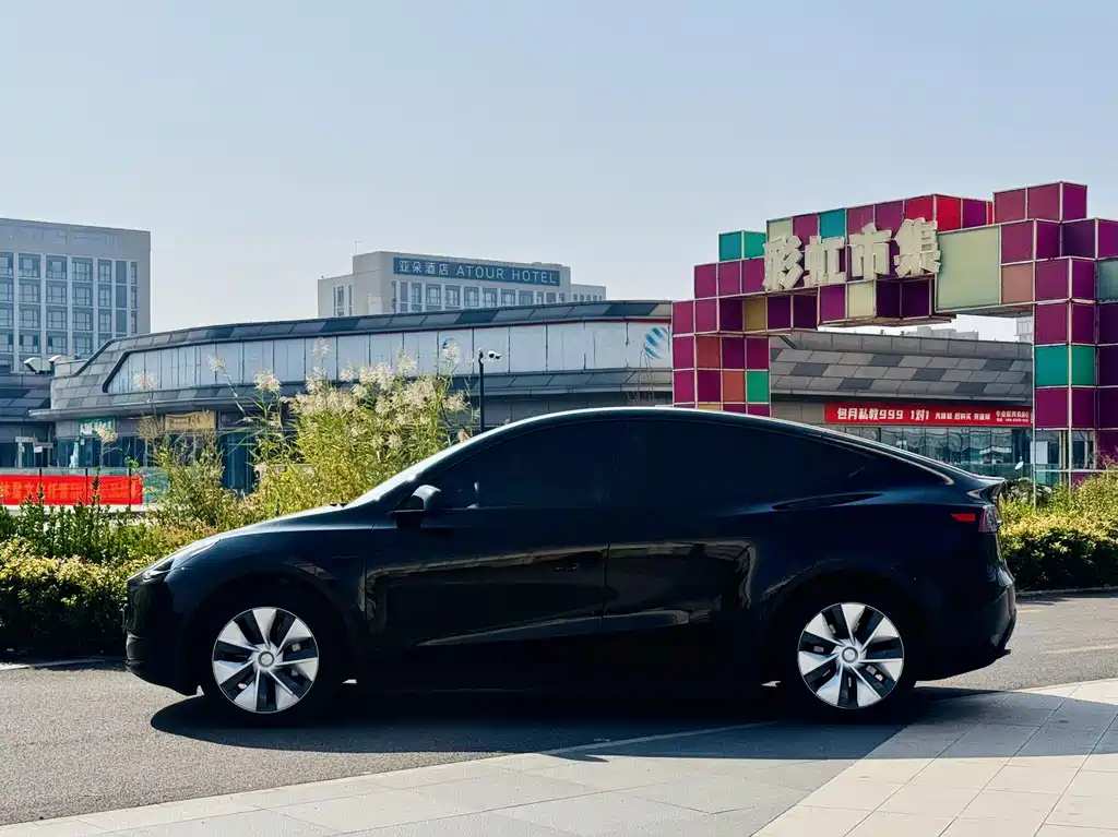 Tesla Model Y — миниатюра 3