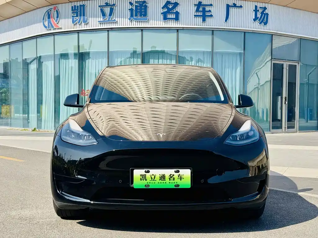 Tesla Model Y — миниатюра 2