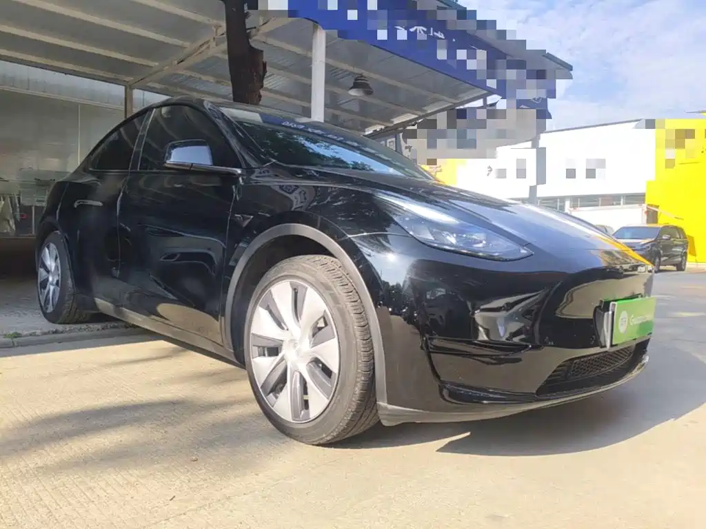 Tesla Model Y — миниатюра 4