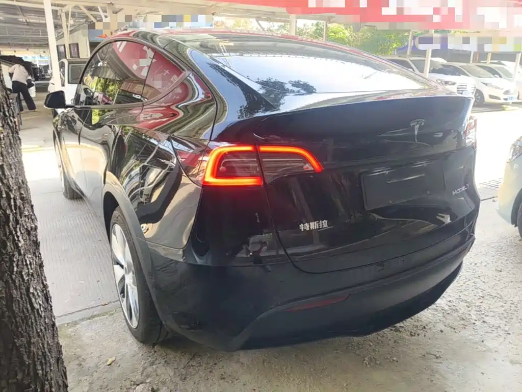Tesla Model Y — миниатюра 5