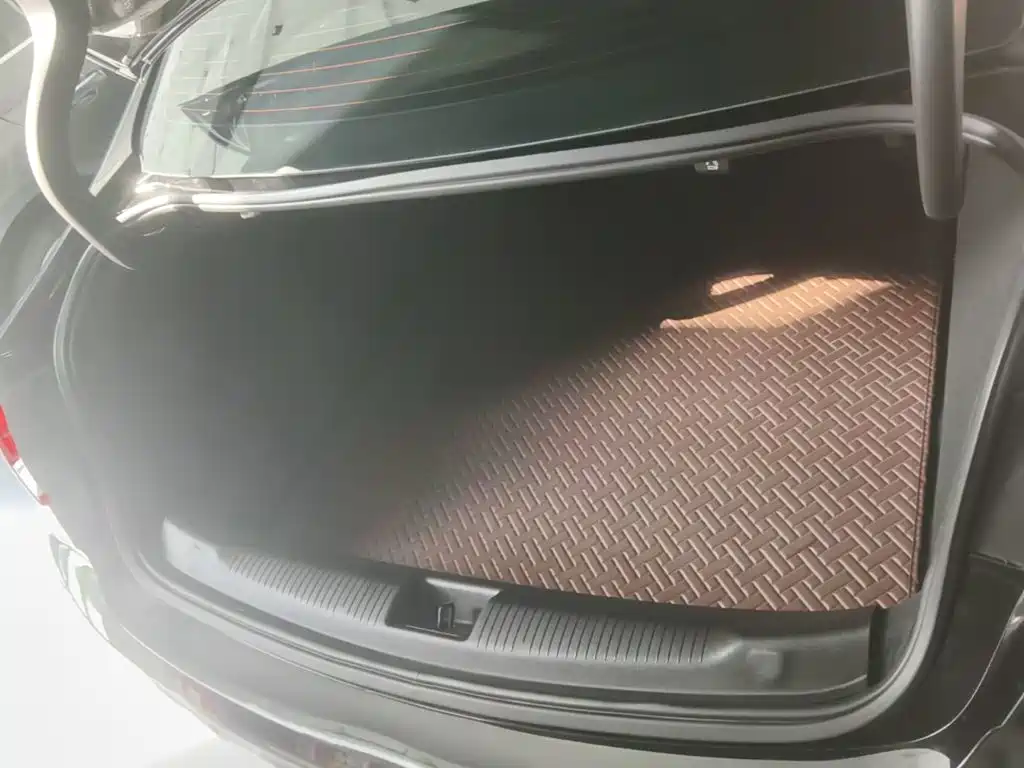 Buick Regal — миниатюра 19