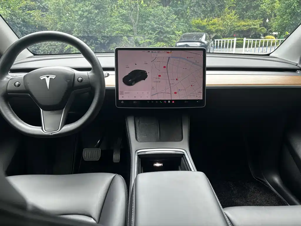 Tesla Model Y — миниатюра 16