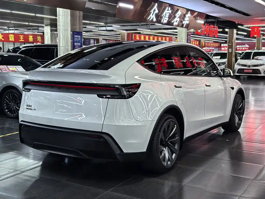 Tesla Model Y — миниатюра 4