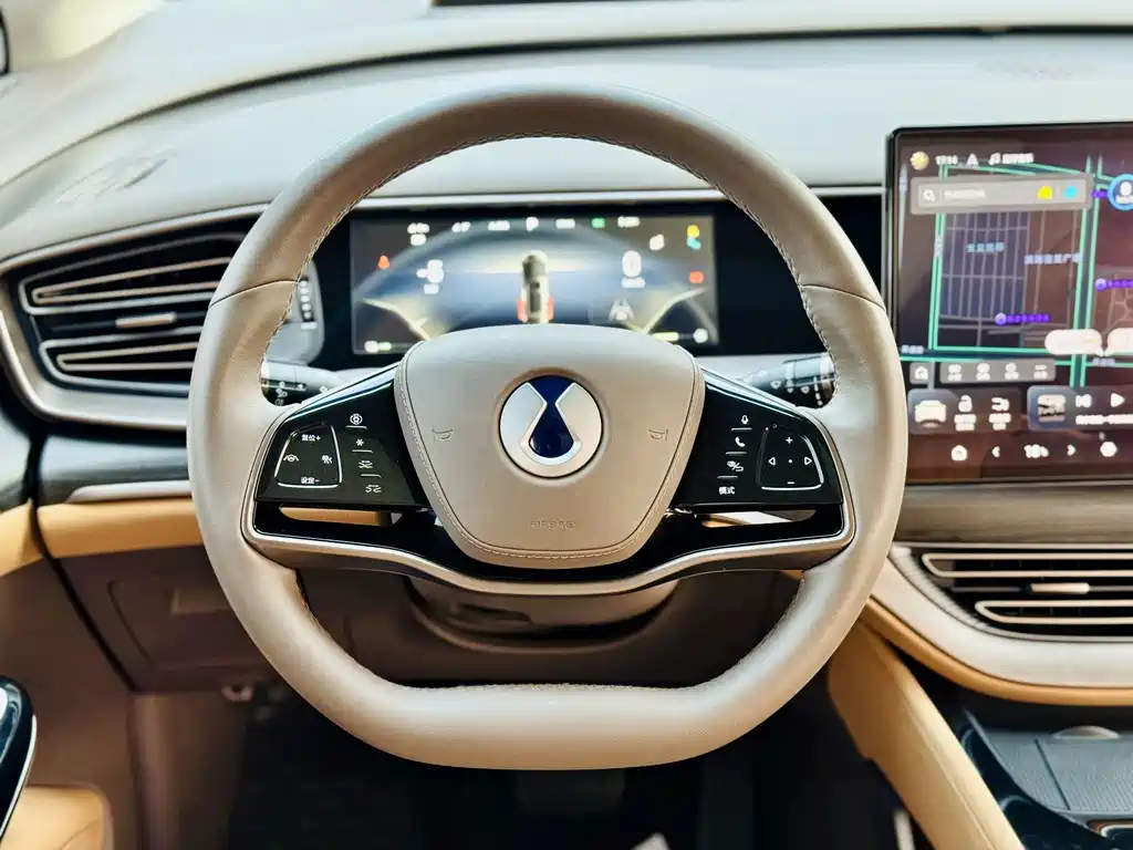 Denza Denza D9 — миниатюра 10