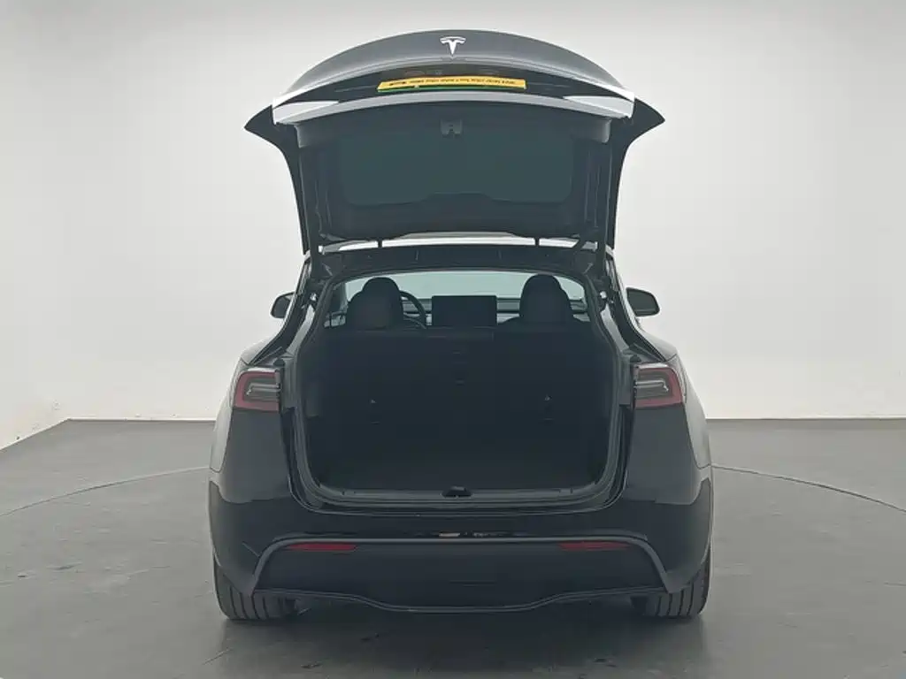 Tesla Model Y — миниатюра 9