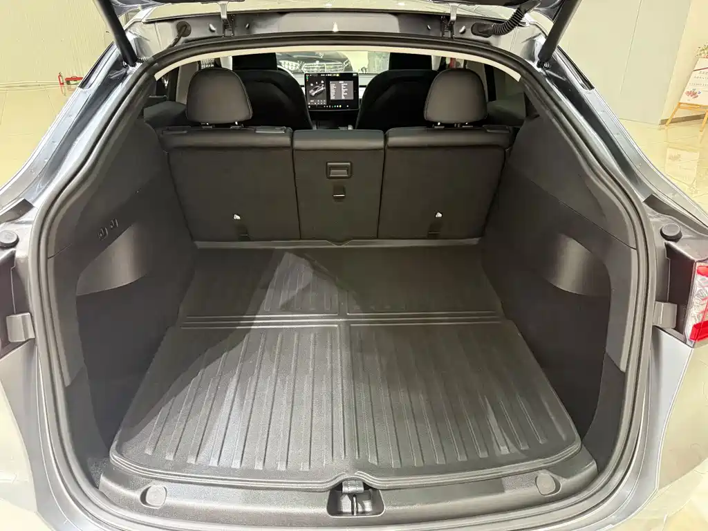 Tesla Model Y — миниатюра 16