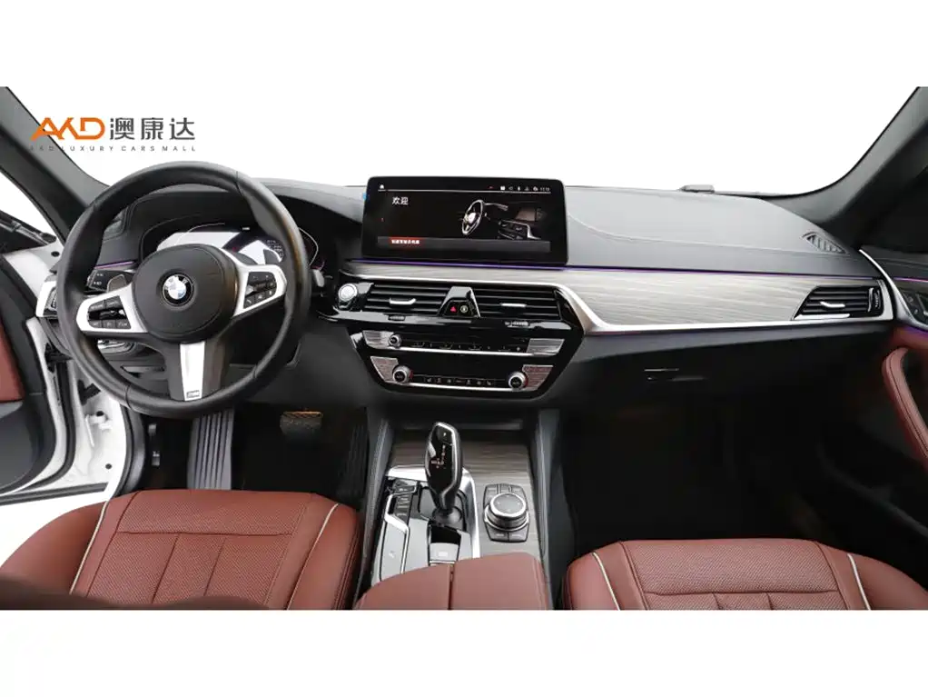 BMW 5 Series — миниатюра 5