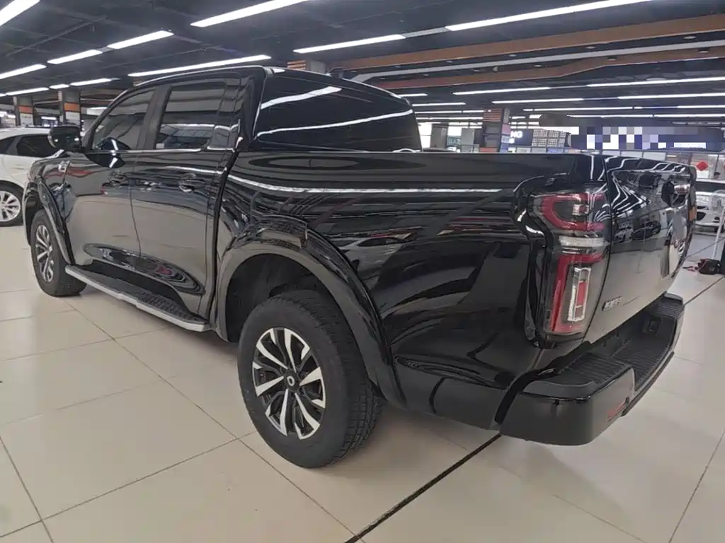 Great Wall Pao — миниатюра 5