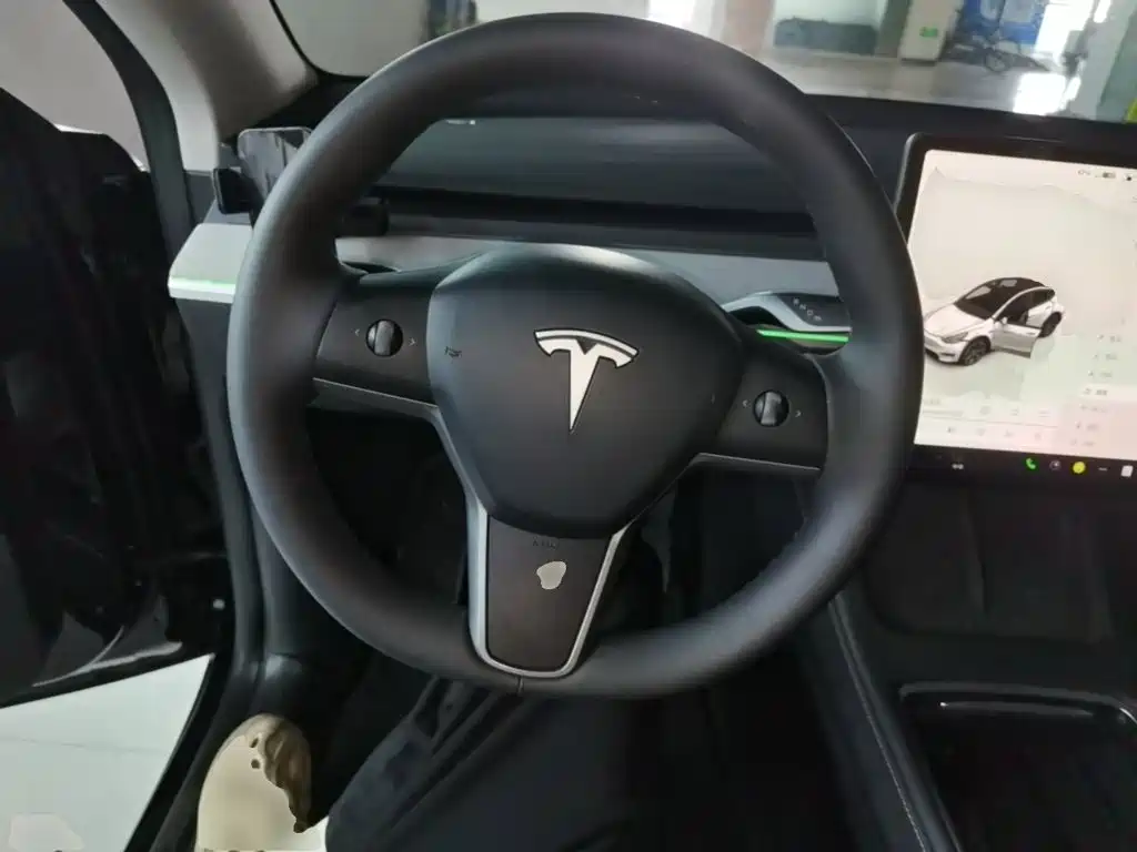 Tesla Model Y — миниатюра 11