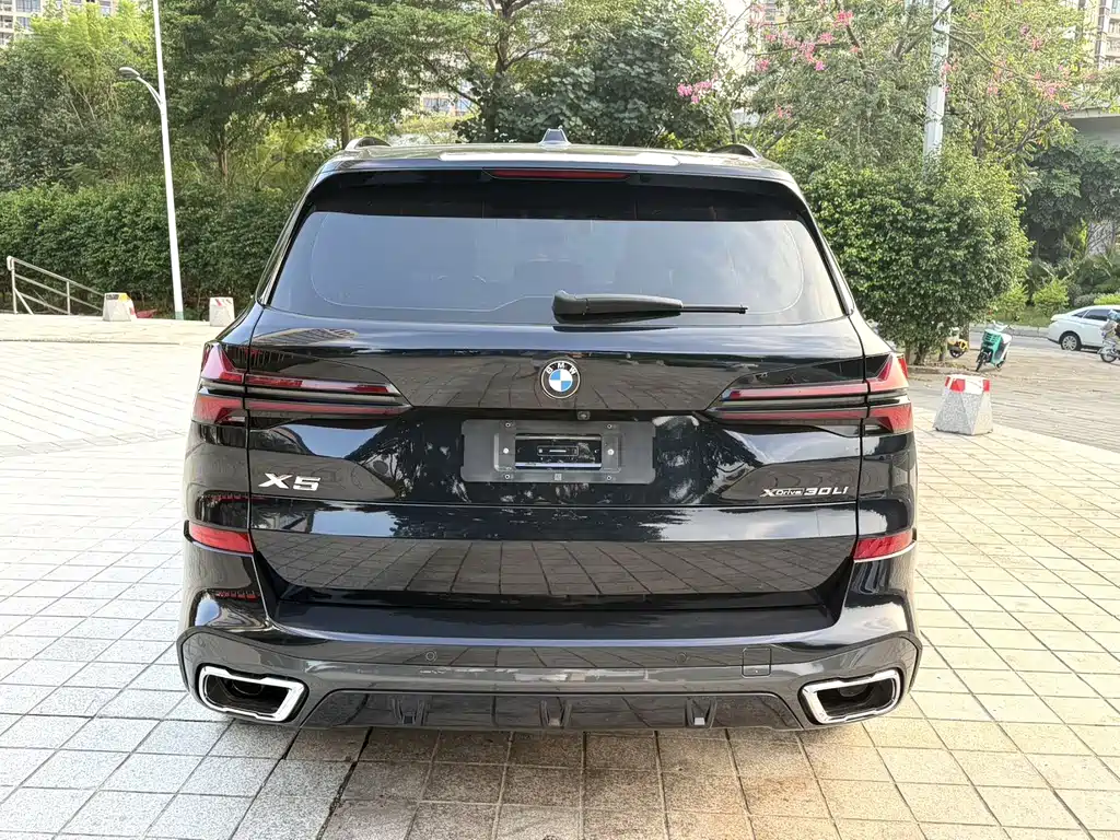 BMW X5 — миниатюра 8