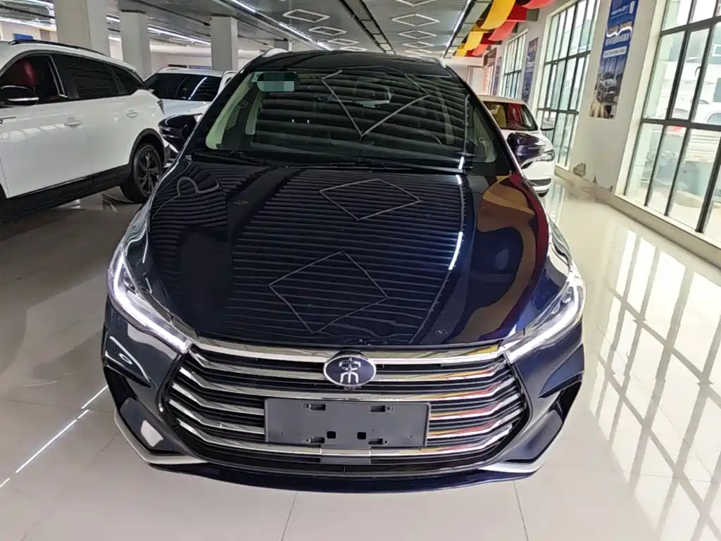 BYD MAX — миниатюра 3