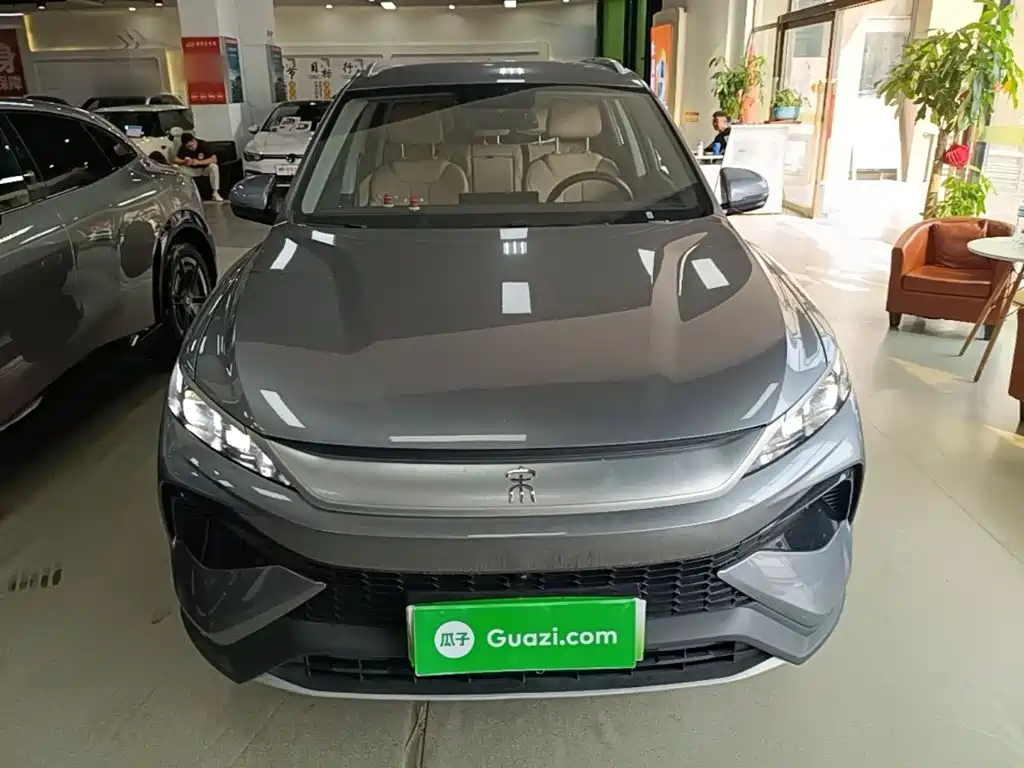 BYD Pro New Energy — миниатюра 3