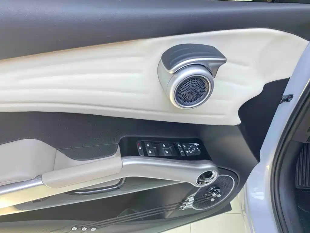 BYD Yuan Plus — миниатюра 13