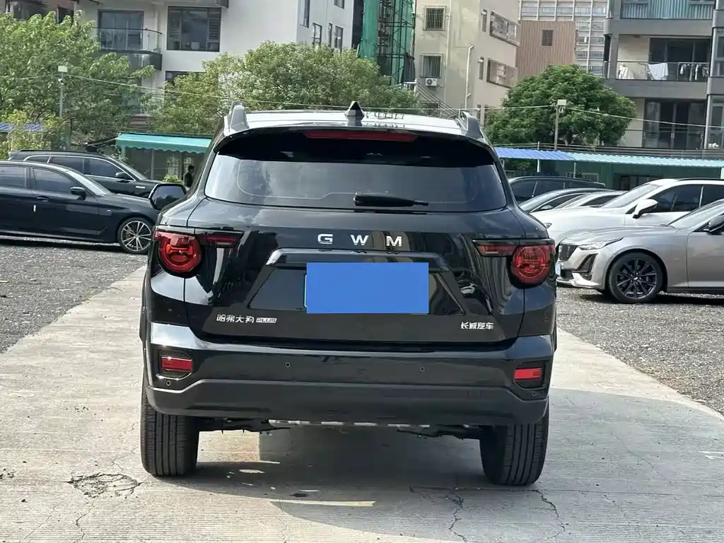 Haval Big Dog PLUS — миниатюра 8