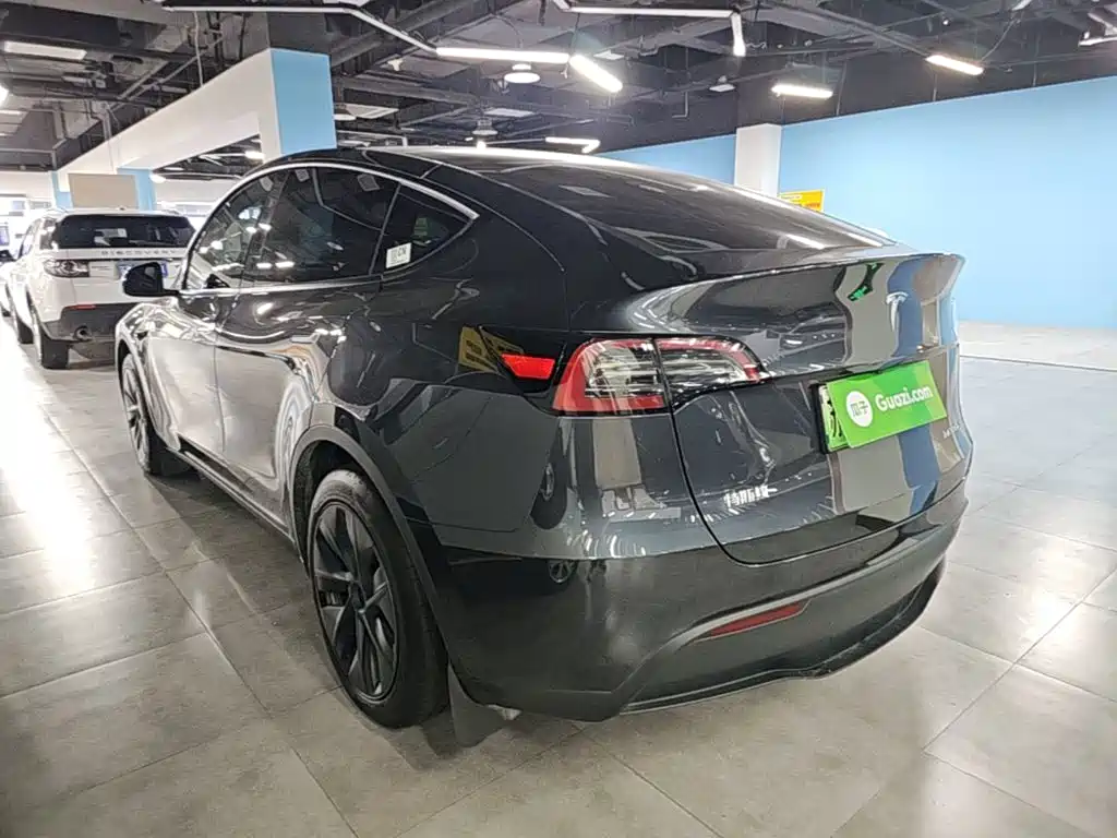 Tesla Model Y — миниатюра 5