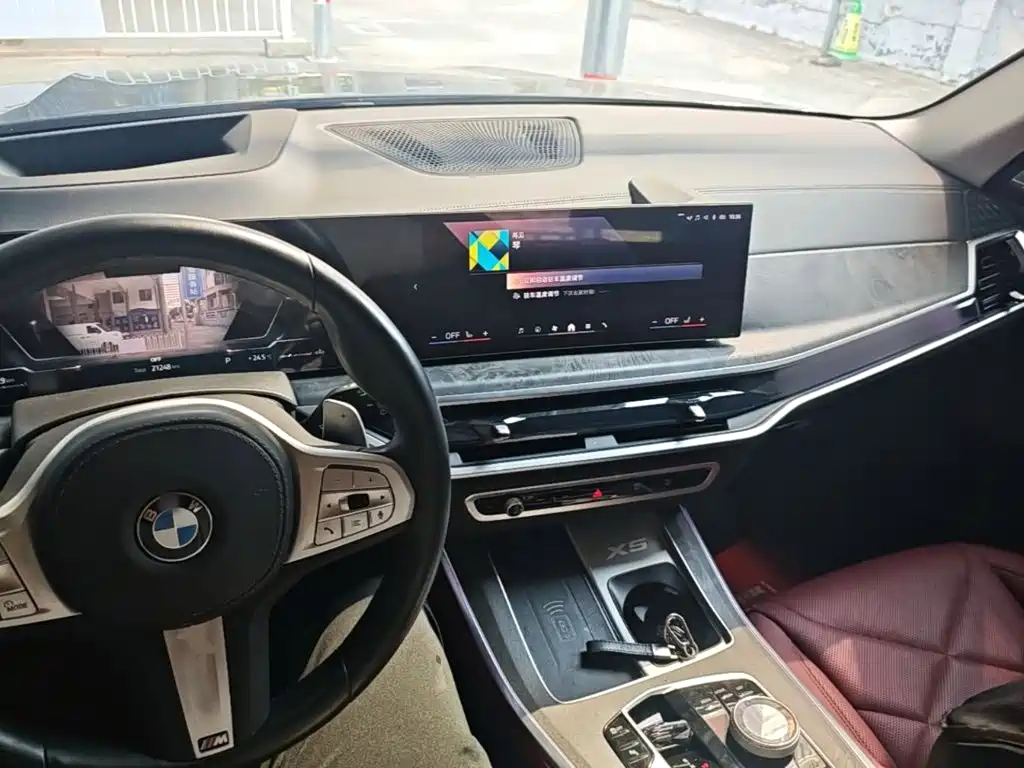 BMW X5 — миниатюра 10