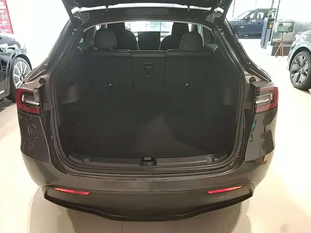 Tesla Model Y — миниатюра 19