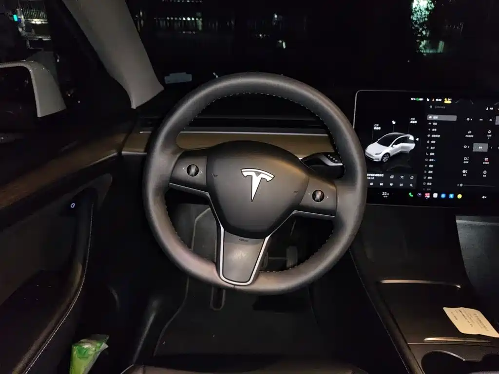 Tesla Model Y — миниатюра 6